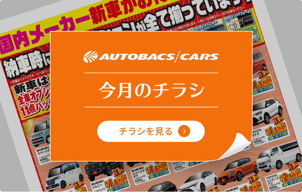 今月のチラシ